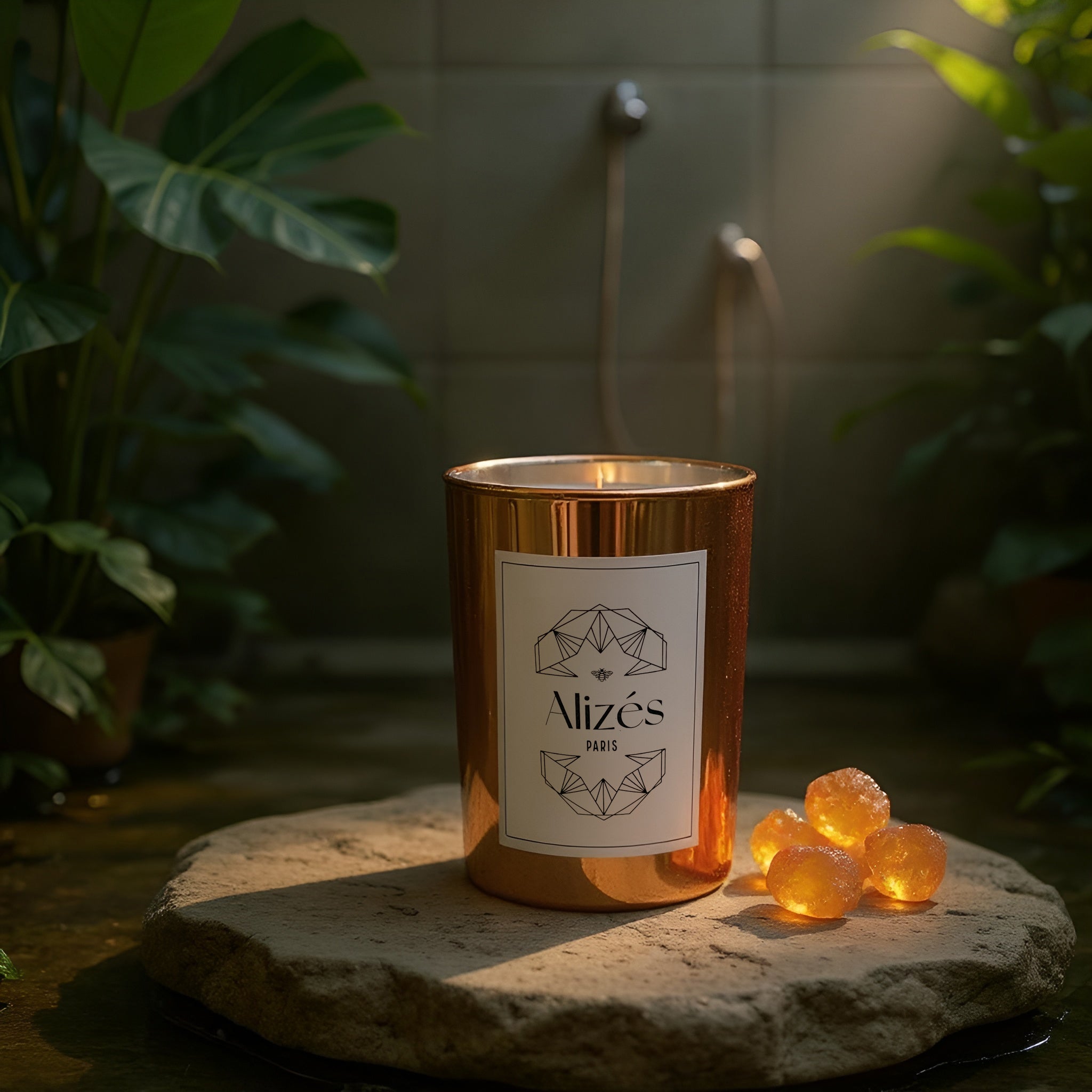 Candle <em>La Tropezienne</em>